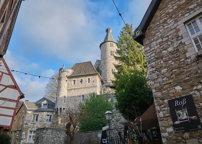 Historische Alte Muehle Direkt An Der Burg